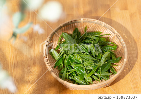 茶葉　新芽　籠 139873637