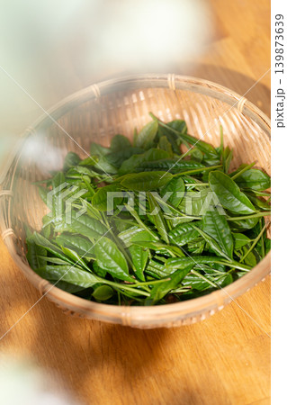 茶葉 新芽 籠 茶葉 新芽 籠 139873639