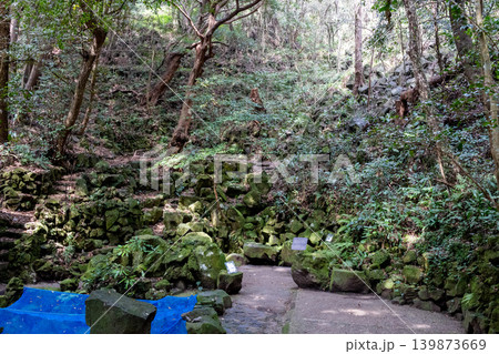 萩市・笠山付近の風穴池の間を縫う狭い森の小道 萩市・笠山付近の風穴池の間を縫う狭い森の小道 139873669