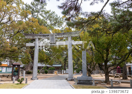 萩市の松陰神社・石造りの鳥居と古松が立つ神聖な参道 139873672