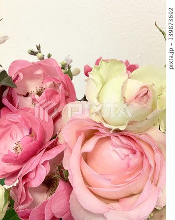 美しいピンクの薔薇の花びら、白背景 美しいピンクの薔薇の花びら、白背景 139873692