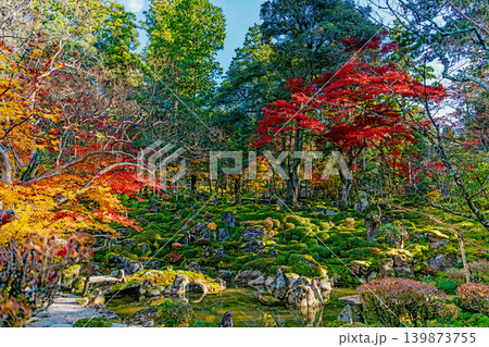 滋賀 西明寺 名勝庭園の秋景色 滋賀 西明寺 名勝庭園の秋景色 139873755