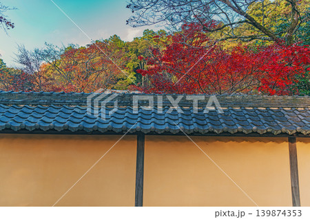 滋賀 西明寺の秋景色 滋賀 西明寺の秋景色 139874353