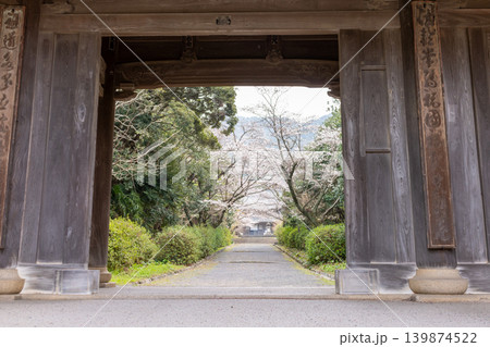 萩市・東光寺の山門越しに見る桜並木の参道 萩市・東光寺の山門越しに見る桜並木の参道 139874522