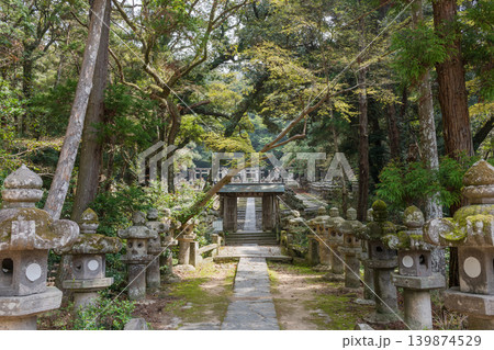 東光寺・毛利家墓所の苔むした石灯籠が両脇に並ぶ参道（萩市） 139874529