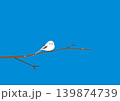 青空の枝にいる一羽のシマエナガのイラスト 139874739
