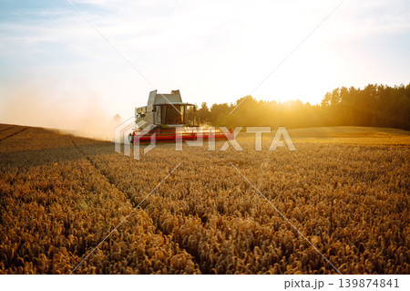 Industrial combine harvester machine reaping gather ripe wheat cereal field meadow on summer day. Industrial combine harvester machine reaping gather ripe wheat cereal field meadow on summer day. 139874841