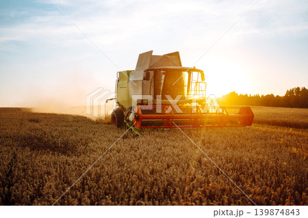 Industrial combine harvester machine reaping gather ripe wheat cereal field meadow on summer day. Industrial combine harvester machine reaping gather ripe wheat cereal field meadow on summer day. 139874843