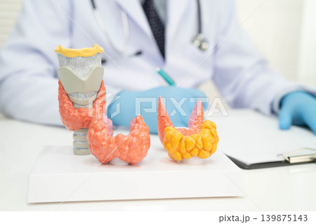 Hyperthyroidism, Overactive Thyroid, Thyroid Lymphoma, Asian doctor with thyroid gland human anatomy model in hospital. 139875143