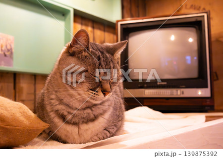 レトロなテレビの前で目を閉じる猫 レトロなテレビの前で目を閉じる猫 139875392