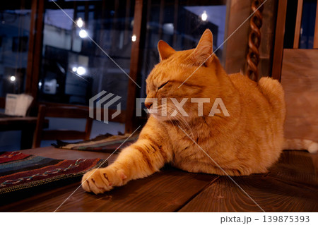 窓辺で眠る茶トラ猫 139875393