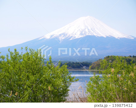 河口湖大石公園からの富士山 河口湖大石公園からの富士山 139875412