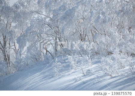 White rime ice on trees in snowy Japanese winter landscape 139875570