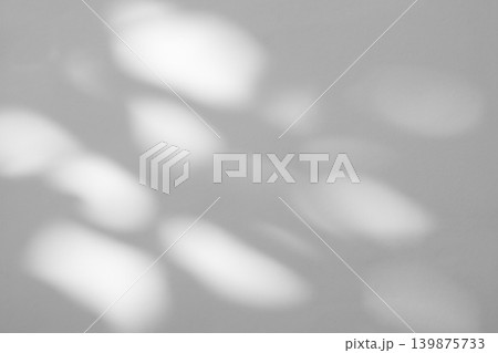 Abstract natural tree branch leaves shadow on white wall background Abstract natural tree branch leaves shadow on white wall background 139875733