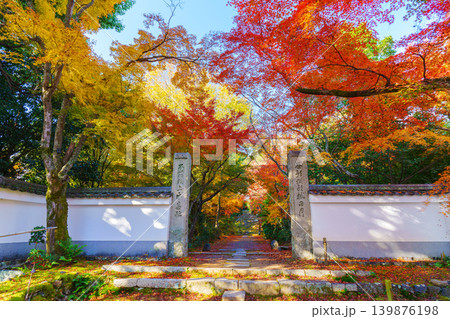 紅葉したモミジのトンネル 浄住寺 紅葉したモミジのトンネル 浄住寺 139876198