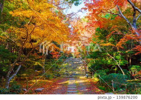 紅葉したモミジのトンネル 浄住寺 紅葉したモミジのトンネル 浄住寺 139876200