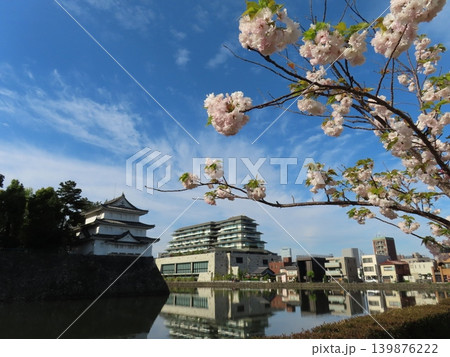 八重桜と西北隅櫓 八重桜と西北隅櫓 139876222