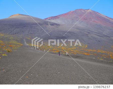 御殿場口からの富士登山 御殿場口からの富士登山 139876237
