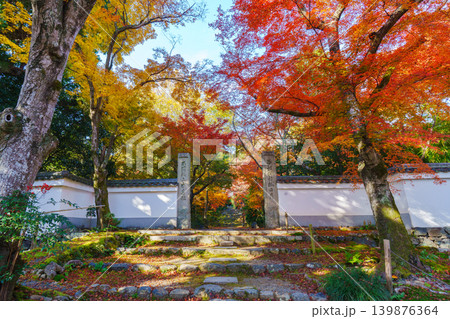 紅葉したモミジのトンネル 浄住寺 紅葉したモミジのトンネル 浄住寺 139876364