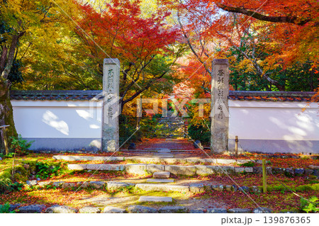 紅葉したモミジのトンネル 浄住寺 紅葉したモミジのトンネル 浄住寺 139876365