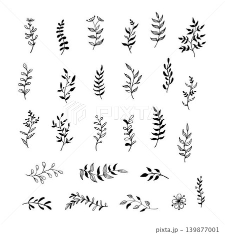 手書き植物イラストセット 手書き植物イラストセット 139877001