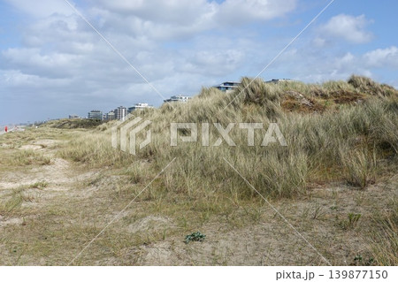 Coastal sand dunes with waving beach grass against a bright sky, modern resort buildings in the distance Coastal sand dunes with waving beach grass against a bright sky, modern resort buildings in the distance 139877150