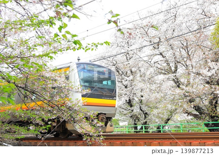 二ヶ領用水 宿河原堤桜並木と南武線 二ヶ領用水 宿河原堤桜並木と南武線 139877213