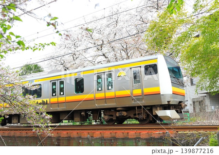 二ヶ領用水 宿河原堤桜並木と南武線 二ヶ領用水 宿河原堤桜並木と南武線 139877216