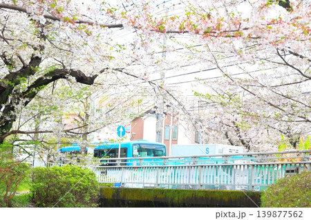 二ヶ領用水宿河原堀の桜 二ヶ領用水宿河原堀の桜 139877562