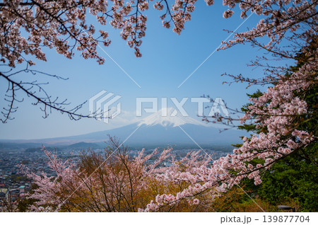 富士山と桜(山梨・春の山河) 富士山と桜(山梨・春の山河) 139877704