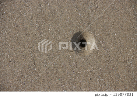 One single lugworm hole in beach sand surface One single lugworm hole in beach sand surface 139877831