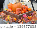 カボチャと紅葉のハロウィンディスプレイ 139877838