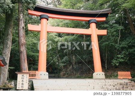 赤い鳥居 139877905