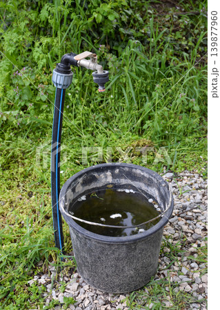 A black plastic bucket filled with water sits next to a garden faucet. Green grass surrounds the area, indicating an outdoor setting. A black plastic bucket filled with water sits next to a garden faucet. Green grass surrounds the area, indicating an outdoor setting. 139877960