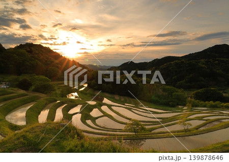 大山千枚田と朝焼けの空 大山千枚田と朝焼けの空 139878646