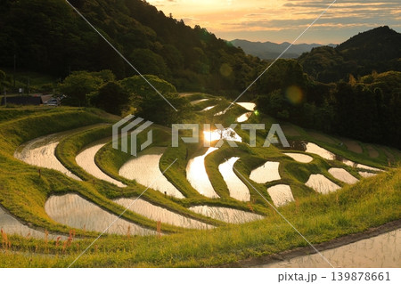 大山千枚田と朝焼けの空 139878661