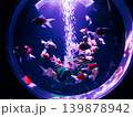 金魚の水槽 139878942