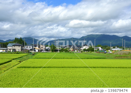JR東日本東北本線、盛岡駅から一ノ関駅までの風景 139879474