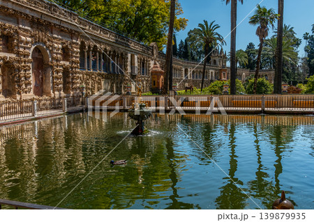 Palace Reflected Lake Palace Reflected Lake 139879935