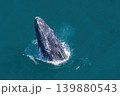 humpback whale drone shot while breaching out of Pacific Ocean off the coast of Cabo San Lucas, Baja California 139880543
