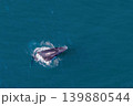 humpback whale drone shot while breaching out of Pacific Ocean off the coast of Cabo San Lucas, Baja California 139880544