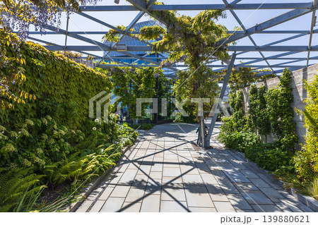 Modern rooftop garden with green pergola and stone path Modern rooftop garden with green pergola and stone path 139880621