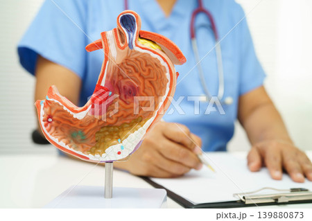 Stomach disease, doctor holding anatomy model for study diagnosis and treatment in hospital. 139880873