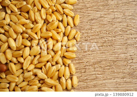 Wheat and grains ears agricultural, organic farm concept. Wheat and grains ears agricultural, organic farm concept. 139880912