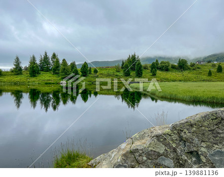 Serene Mountain Lake Reflect Trees Under Cloudy Sky, Beautiful Landscape View 139881136