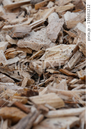 Natural Wood Shavings from Tree Bark and Lumber Create a Rustic, Textured Ground Cover Background Element Natural Wood Shavings from Tree Bark and Lumber Create a Rustic, Textured Ground Cover Background Element 139881212