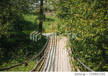 Wooden Suspension Bridge in Lush Green Forest Wooden Suspension Bridge in Lush Green Forest 139881392