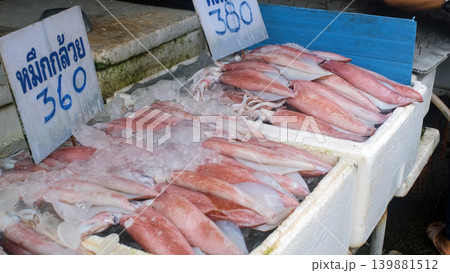 Fresh squid and seafood displayed on ice at outdoor market counter with Thai language price signs reading squid. Street market concept Fresh squid and seafood displayed on ice at outdoor market counter with Thai language price signs reading squid. Street market concept 139881512
