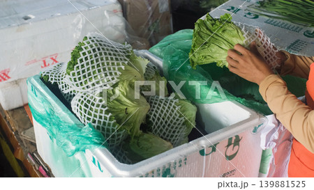 Close-up of woman's hands packing and wrapping fresh green lettuce leaves at a market stall counter. Produce packaging concept Close-up of woman's hands packing and wrapping fresh green lettuce leaves at a market stall counter. Produce packaging concept 139881525