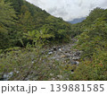 山の自然 139881585